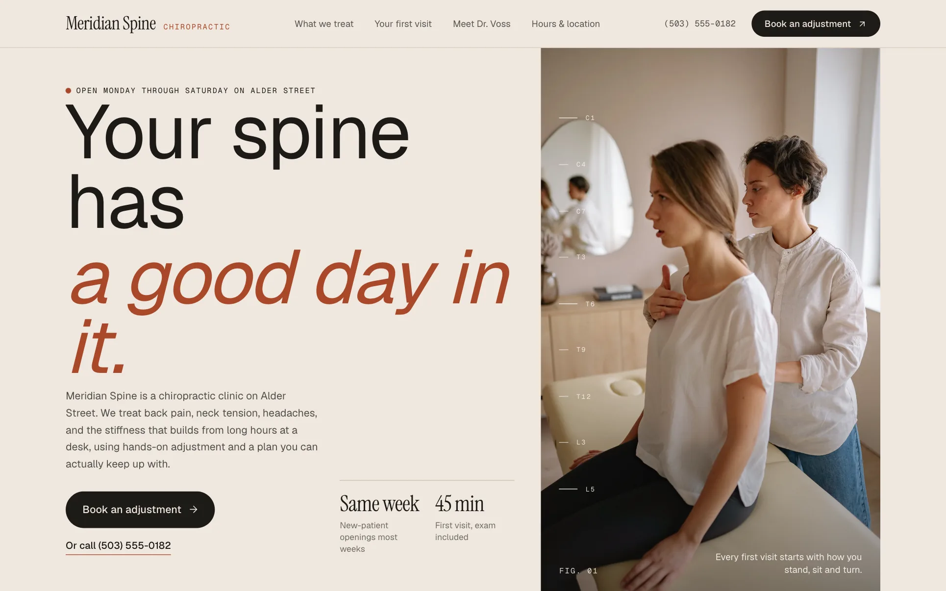 Text-First Chiropractic Clinic website template preview