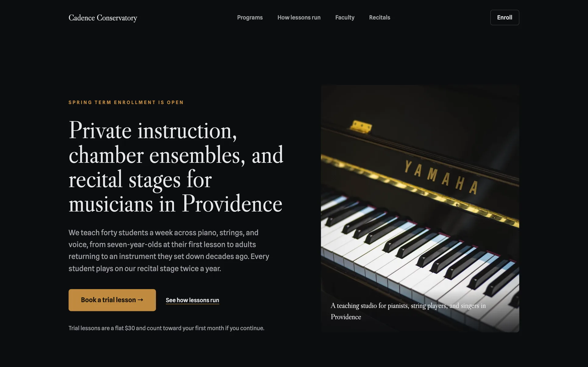 Black & Gold Music School website template preview