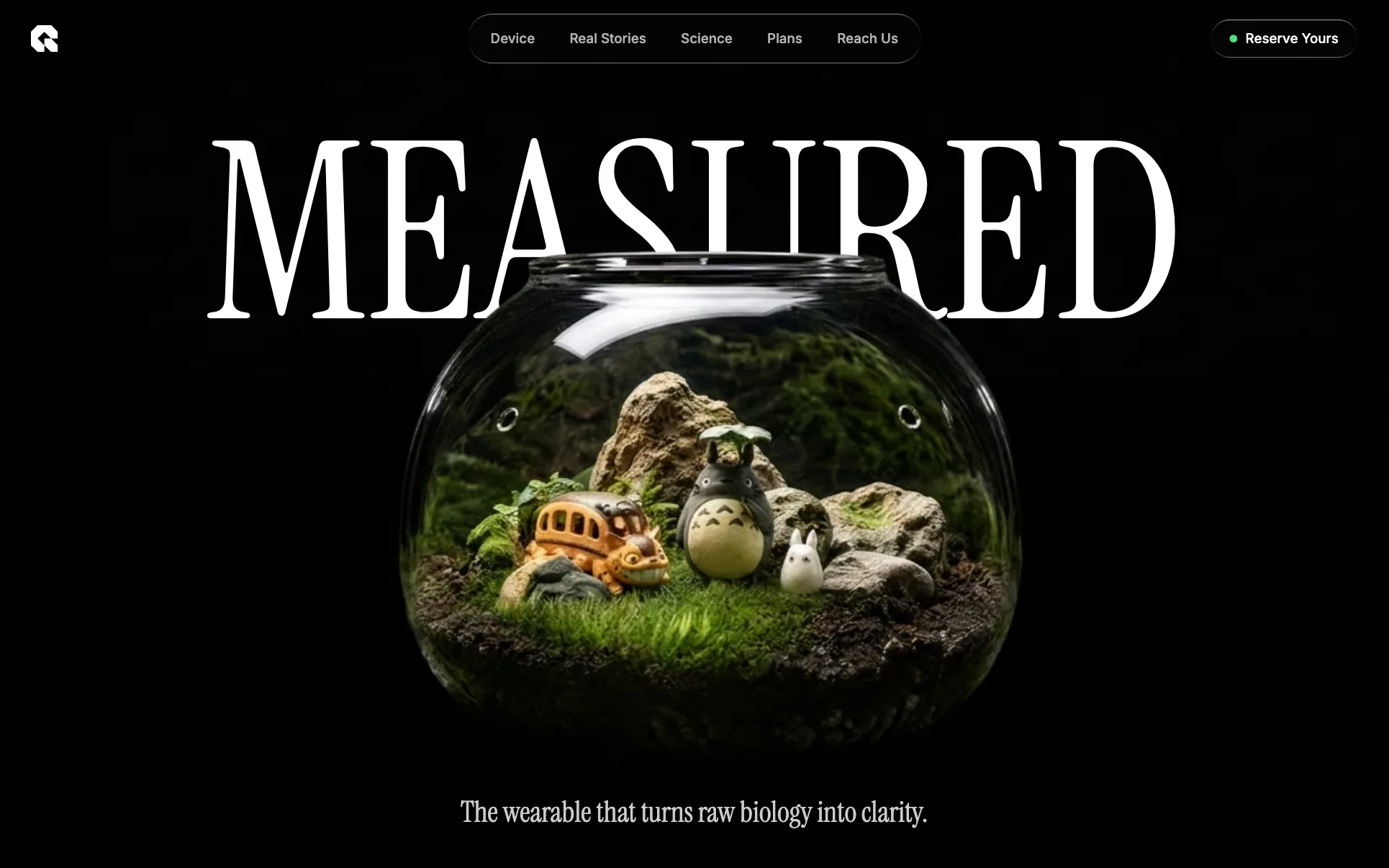 Предпросмотр шаблона сайта Measured