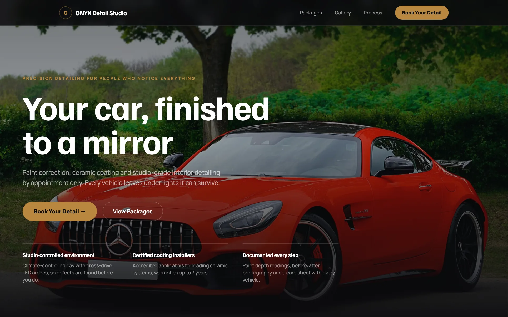 Dark Premium Auto Detailing website template preview