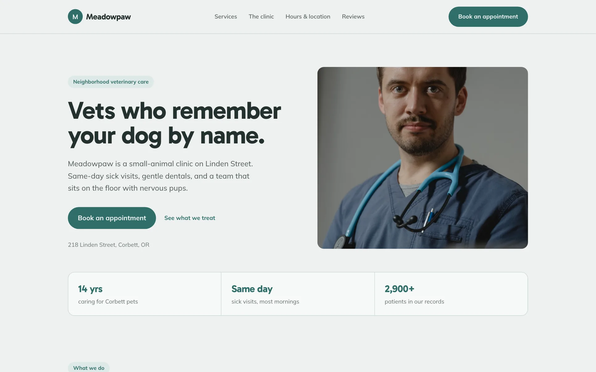 We.Inc Meadowpaw Veterinary template design for a veterinary clinic