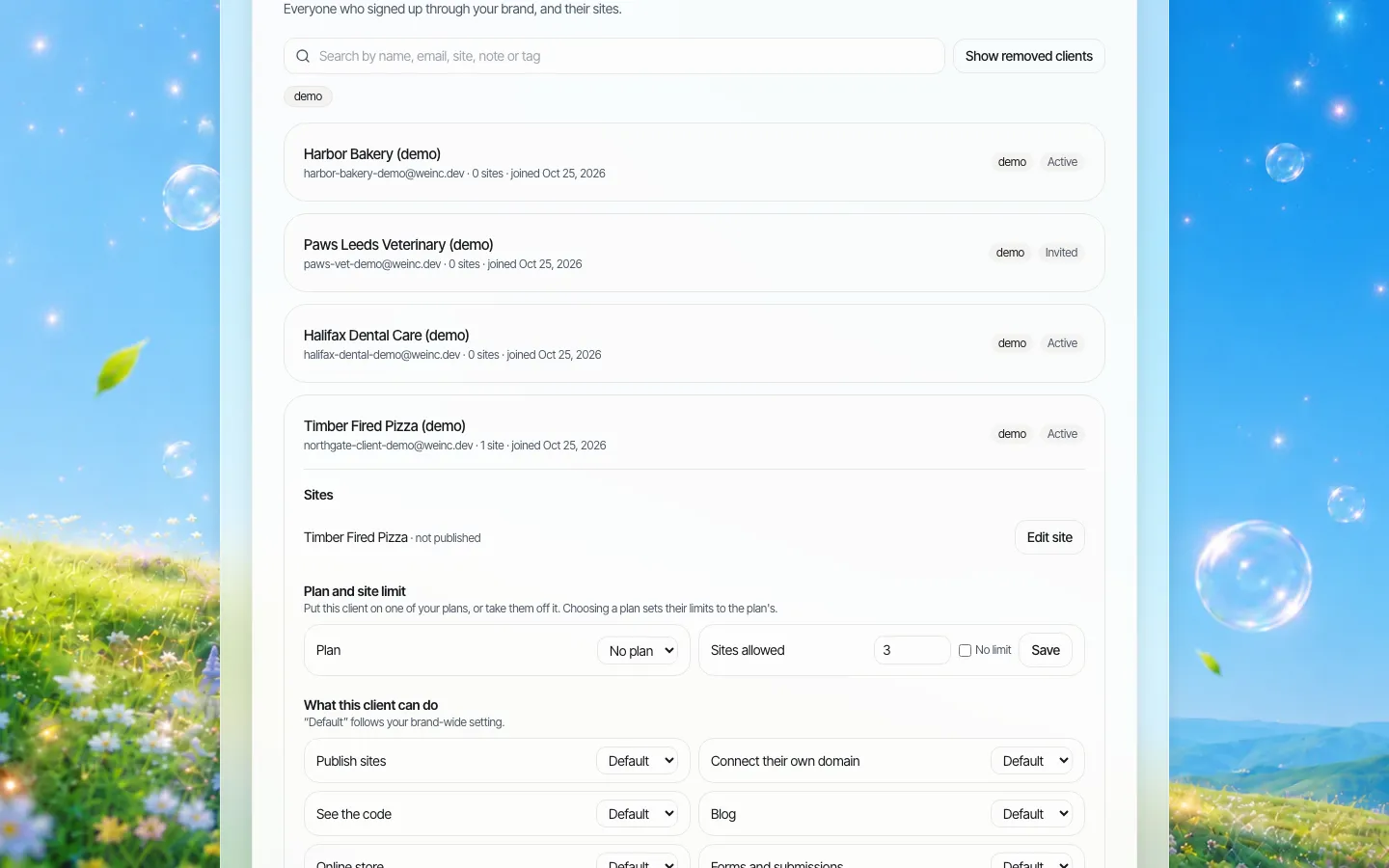 Configurações de um cliente: plano e limite de sites, depois O que este cliente pode fazer, com cada chave em Padrão, que segue a configuração da marca