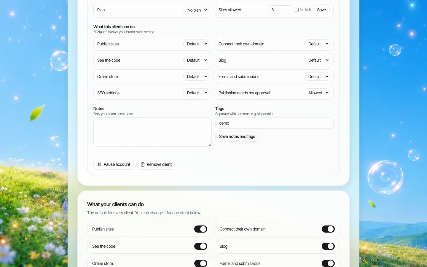 Mais configurações por cliente, incluindo as chaves restantes, Publicação precisa da minha aprovação, notas, tags e opções de pausar ou remover